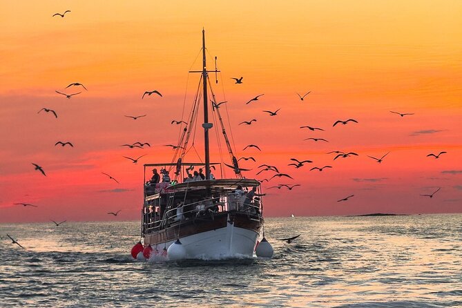 2-Hour Dolphin Guided Safari NP Brijuni from Fazana - Key points at a glance