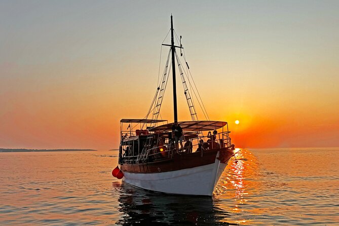 2-Hour Dolphin Guided Safari NP Brijuni from Fazana - What the two-hour schedule really gives you