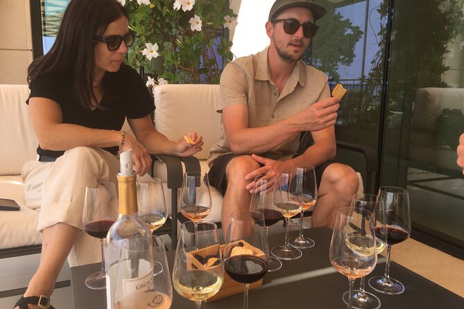 2 Hours Wine Tasting in Dubrovnik Old Town - First lesson: Croatian grapes and winemaking