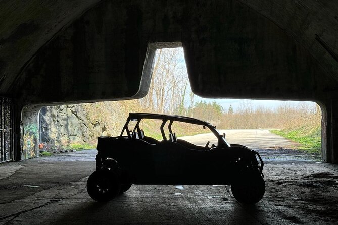 3,5 hours Guided Buggy Tour in Plitvice lakes - What driving the buggy is really like