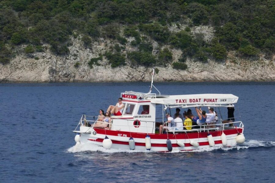 3,5h Wild Bays: Swim & Snorkel with Capt. Bobo (Public) - Two hours for swimming and snorkeling