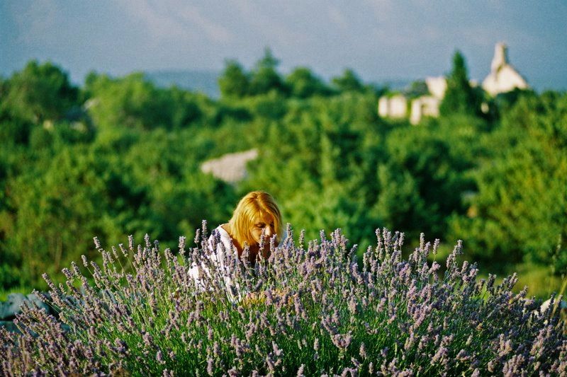3-Hour Lavender Tour from Hvar - Velo Grablje brings the sweetest finish