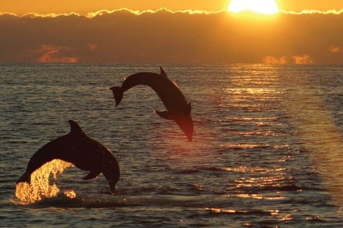 3hours all inclusive Sunset&Dolphin Tour from Medulin on Sandra - Quick facts about the Medulin sunset cruise