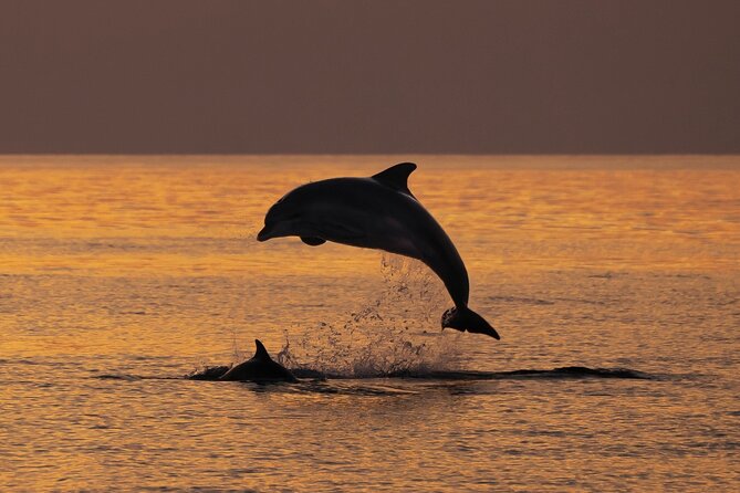 3hours all inclusive Sunset&Dolphin Tour from Medulin on Sandra - Leaving Medulin Harbor around sunset