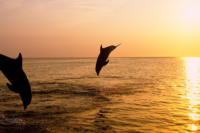 3hours all inclusive Sunset&Dolphin Tour from Medulin on Sandra - Searching for dolphins near the open sea