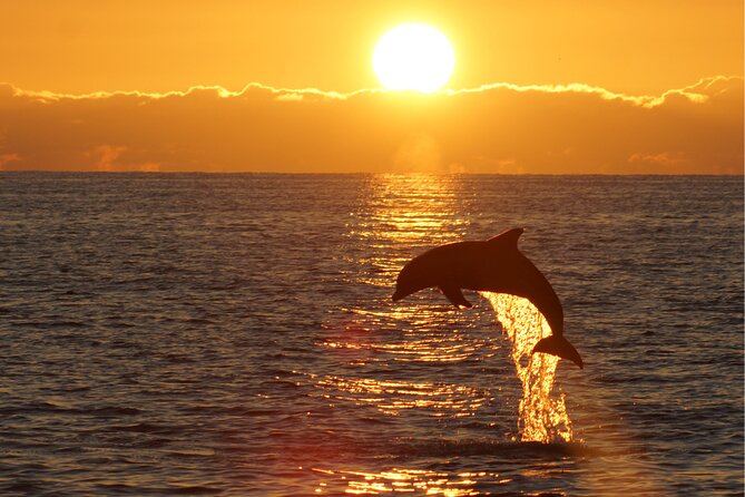 3hours all inclusive Sunset&Dolphin Tour from Medulin on Sandra - What $54.42 really gets you