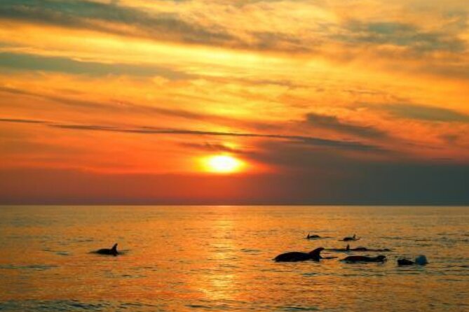 3hours all inclusive Sunset&Dolphin Tour from Medulin on Sandra - Weather, timing, and practical planning