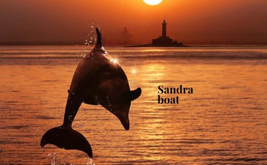 3hours Dolphin Sunset watching with unlimited drinks +dinner - Setting out from Medulin harbour