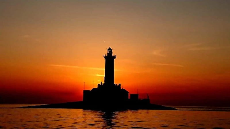 3hours Dolphin Sunset watching with unlimited drinks +dinner - Music, dancing, and the social side