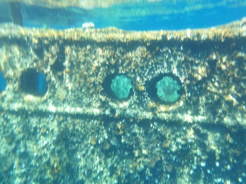 4 Jewels of Zadar, Dugi otok, sunken ship - Half day - Key points at a glance