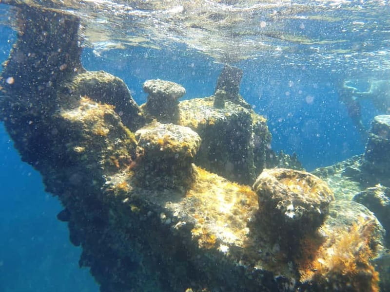 4 Jewels of Zadar, Dugi otok, sunken ship - Half day - Booking details worth knowing
