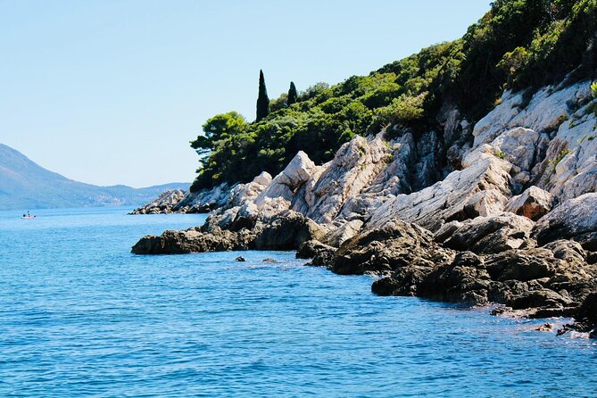 50-minute Panoramic Cruise of Dubrovnik with English Audio Guide - Lokrum Island and the open coast