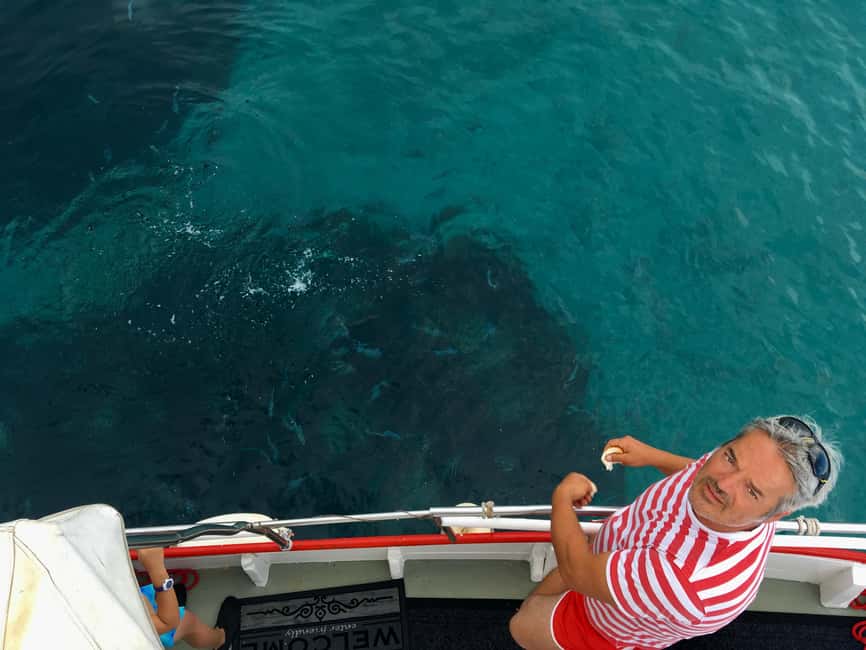 5h Plavnik Island: Swim & Snorkel with Capt. Bobo (Public) - Key points to know before you go
