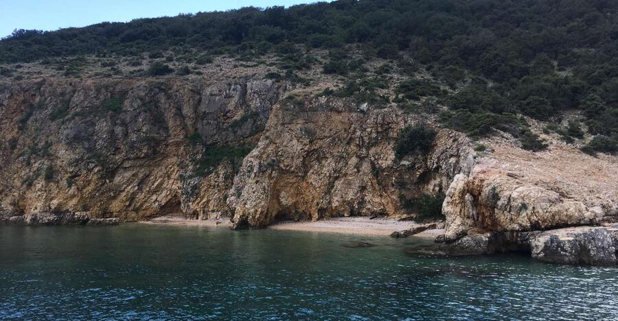 5h Plavnik Island: Swim & Snorkel with Capt. Bobo (Public) - Should you book the Plavnik Island tour?