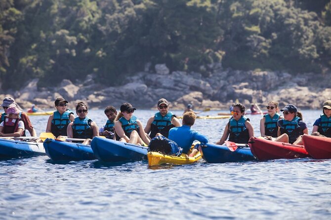 Afternoon Kayaking in Dubrovnik - Key points at a glance