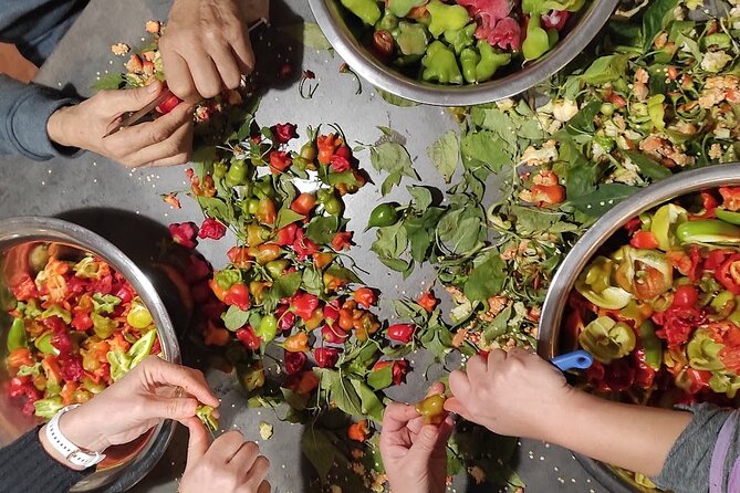Authentic Garden to Table Cooking Class in Dubrovnik Countryside - Picking vegetables and gathering fresh eggs