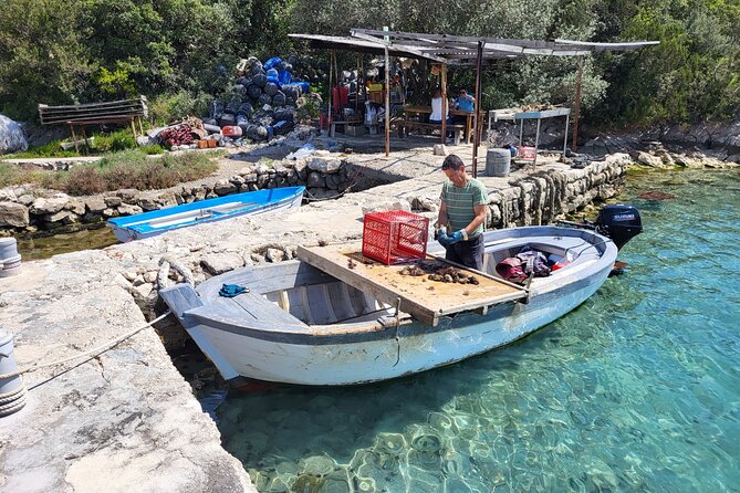 Authentic private viewpoint wine&dine tour - Milos Winery: Pelješac wine with the people who make it