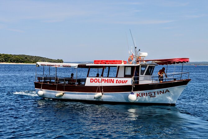 Beautiful Sunset and Dolphin Watching - Key Points to Know Before You Go