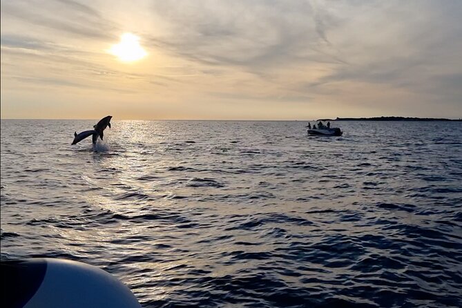 Beautiful Sunset and Dolphin Watching - Setting Out From Fažana Toward Brijuni