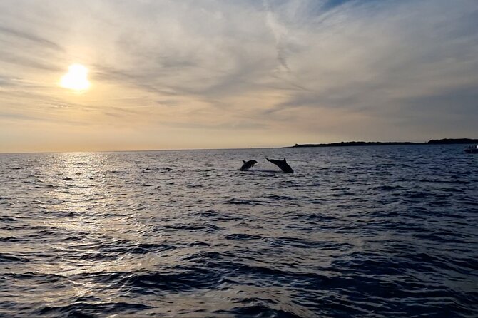 Beautiful Sunset and Dolphin Watching - What the Two-Hour Schedule Feels Like