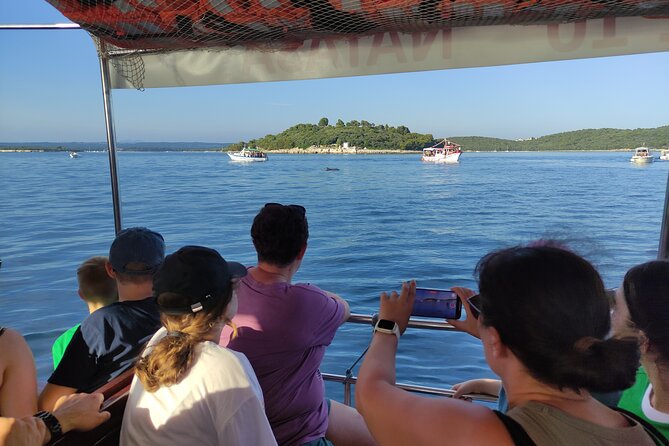 Beautiful Sunset and Dolphin Watching - The Boat, Group Size, and Onboard Comfort