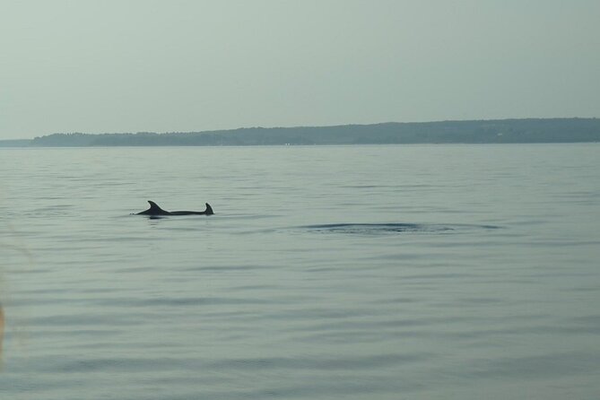 Beautiful Sunset and Dolphin Watching - Sunset Over the Adriatic