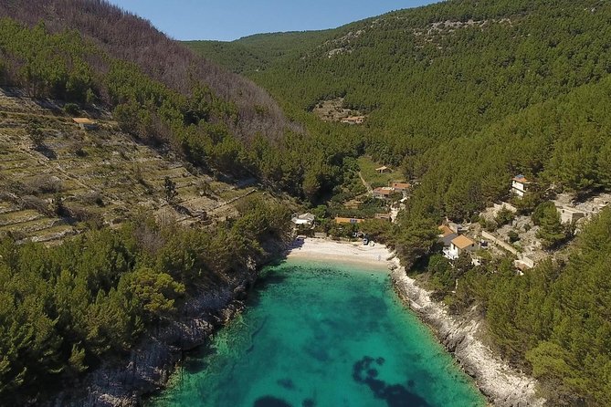 Best of Korcula island winery's by 4X4 Canam buggys with lunch - Two winery visits with a sense of place