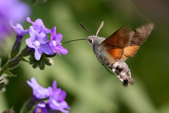 Biokovo Skywalk - Who will enjoy this Biokovo experience most