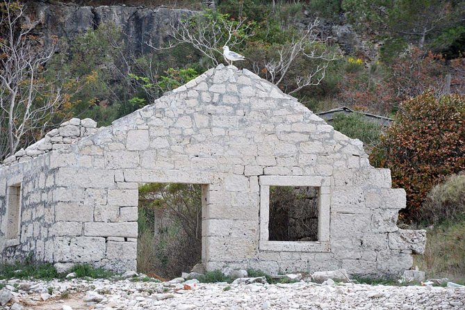 Bits of History - Half day kayak Tour with Wine delight - Remote Beaches and a Swim in the Adriatic