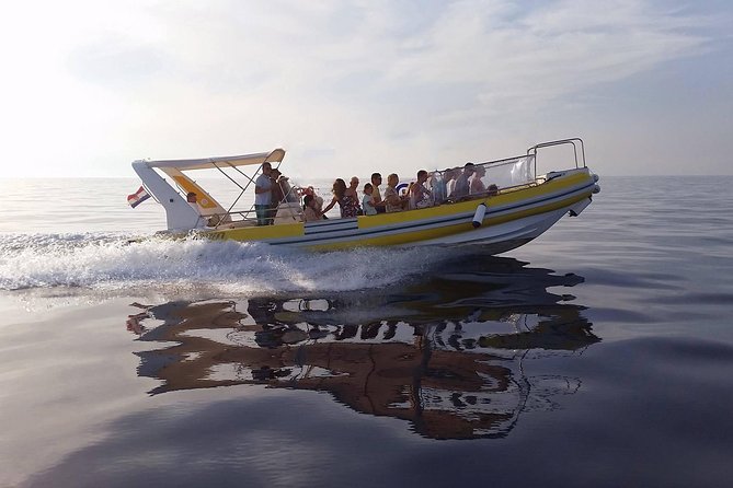 Blue Cave | 5-Hour Afternoon Sea Safari - The best parts of this five-hour sea safari