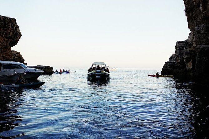 Blue Cave | 5-Hour Afternoon Sea Safari - Lokrum, cliff jumps, and the final toast