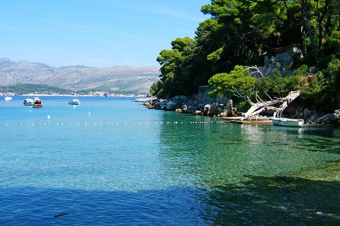 Blue Cave and caves Discovery Dubrovnik - Group Tour by Boat - Swimming into Dubrovnik’s Blue Cave