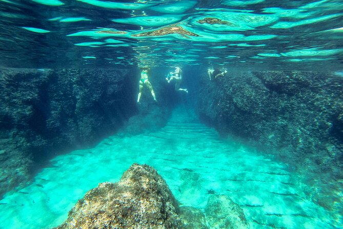 Blue Cave, Green Cave & Lopud Beach small group Speed boat Tour - Who will enjoy this half-day on the Adriatic?
