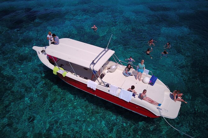 Blue Cave & Vis Island speedboat tour from Hvar - The Blue Cave at Bisevo