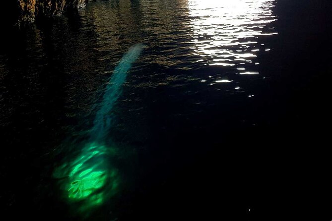 Blue & Green Cave Vis Island and Pakleni Islands Private Day Trip from Hvar - Weather, waves, and the value of local judgment
