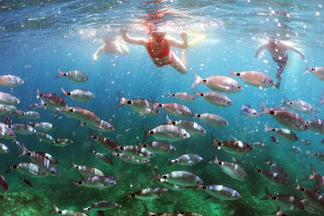 BOAT & KAYAK! Sea Adventure - Snorkeling & Cliff Jumps - Key points to know before booking