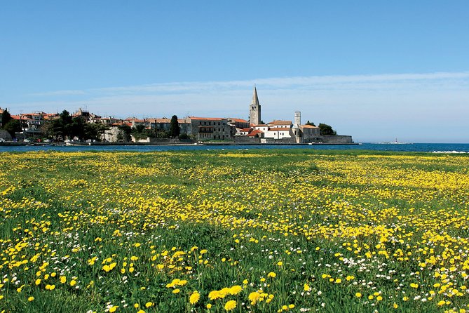 Boat trip to Rovinj and Vrsar from Poreč with lunch - Lunch after Rovinj