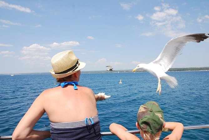 Brijuni National Park Boat Excursion from Pula. With a visit to the island - Smart tips for making the day better