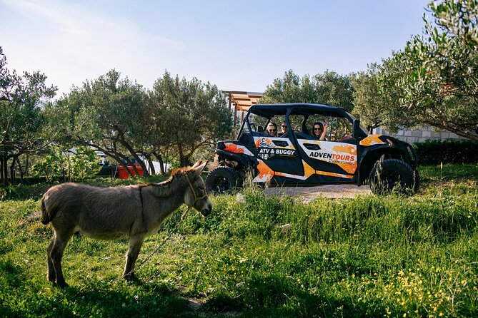 Buggy Dubrovnik Safari Tour (Private) - Fort Imperial and Dubrovnik’s difficult past