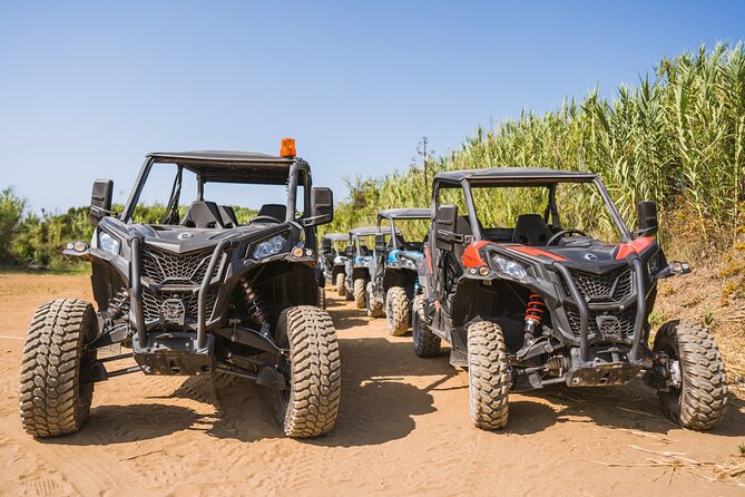 Buggy Safari With Wine Tasting - Is $114.14 Good Value?