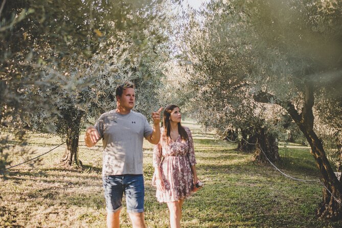 Buje: Authentic Istrian family farm, guided walk, foods & wine - Arriving at the family farm near Buje