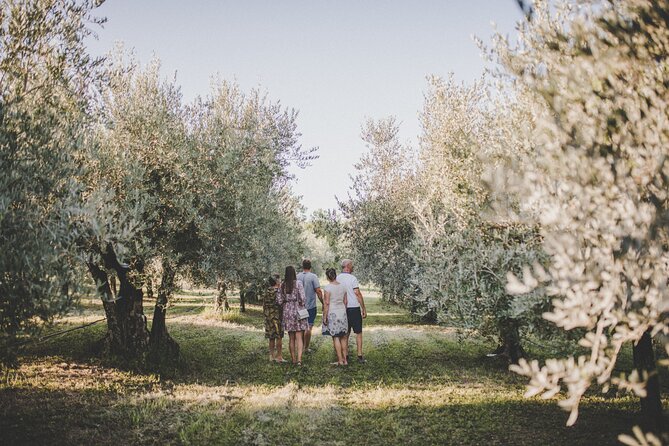 Buje: Authentic Istrian family farm, guided walk, foods & wine - Who will enjoy this experience most?