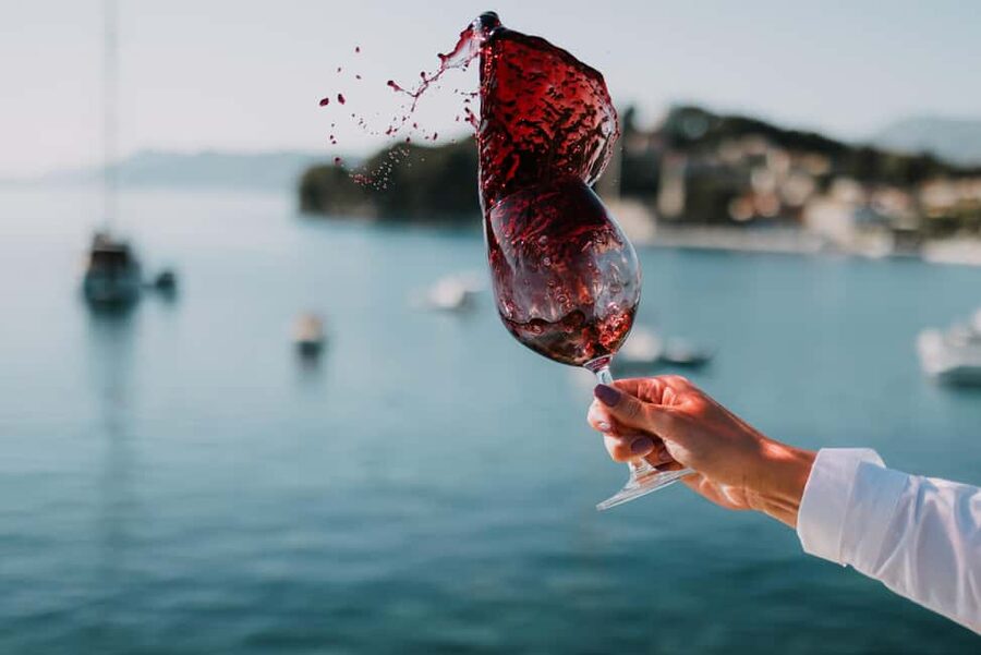 Cavtat Wine Experience: Tasting at Wine Bar Banac - Service and the English-language guidance