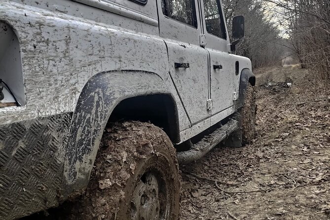 Central Istria Gastro and Off Road Half-Day Private Guided Tour - Who should book this experience?