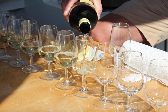 Classic Tour with Wine Tastings from Dubrovnik - Ston’s walls and salt works