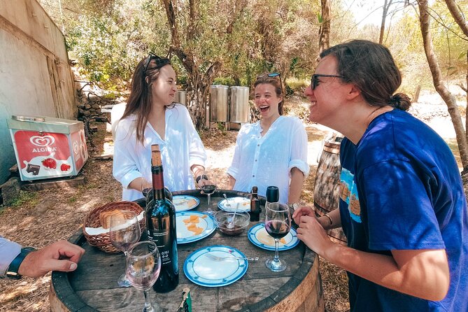 Coastal Vineyards: A Dream Wine Tour to Elaphiti Islands - Why This Four-Hour Island Trip Works