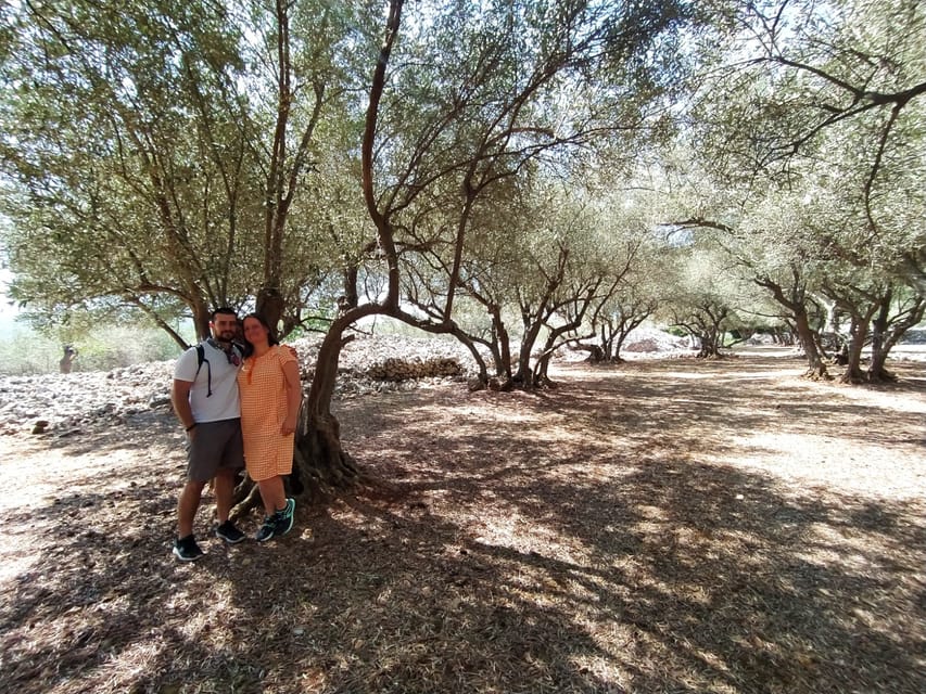 Cres: Olive Oil Walking Tour with Tastings - What Dunja adds to the experience