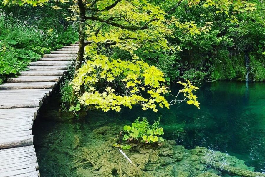 Croatia: Plitvice Lakes Private Tour with Hotel Pickup - How much value do you get for $200?