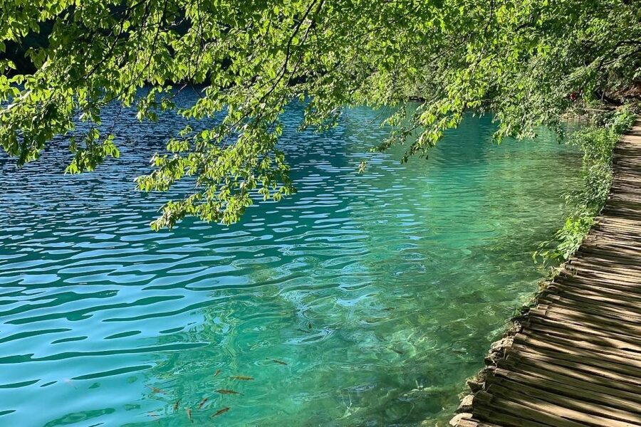 Croatia: Plitvice Lakes Private Tour with Hotel Pickup - Hotel pickup within 20 kilometers of the park