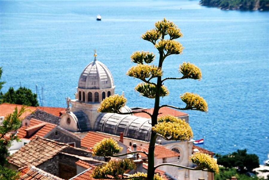 Dalmatian Delights: Food & Wine Tour from Split or Trogir - What dinner really includes
